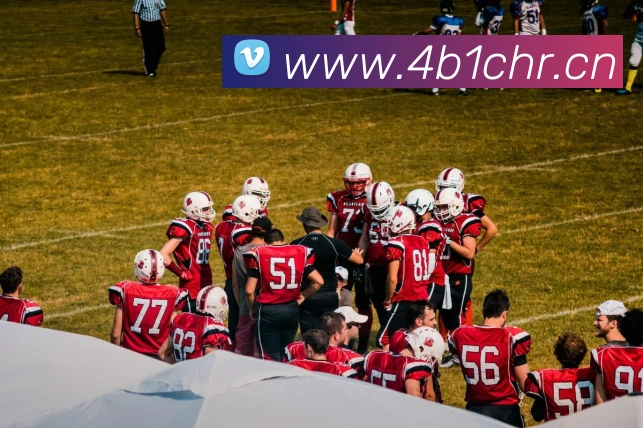 世预赛南美区最新赛程公布：激烈角逐开启，附各队关键战时间点